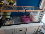 Hamsterkooi goudhamster met spullen, Dieren en Toebehoren, Knaagdieren en Konijnen | Hokken en Kooien, Ophalen, Gebruikt, 75 tot 110 cm