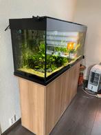 Juwel rio 240, Dieren en Toebehoren, Vissen | Aquaria en Toebehoren, Ophalen, Zo goed als nieuw, Leeg aquarium