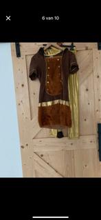 Carnaval leeuwen kostuum, Ophalen of Verzenden, Zo goed als nieuw, Pak of Jurk