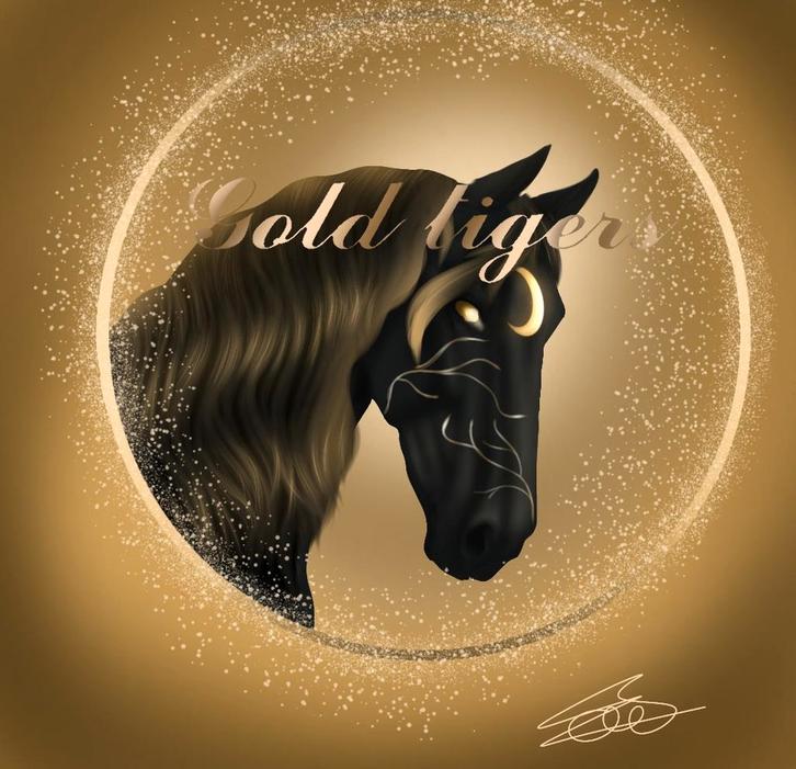 Club leden sso gezocht gold tigers, Spelcomputers en Games, Games | Pc, Zo goed als nieuw, Avontuur en Actie, 3 spelers of meer