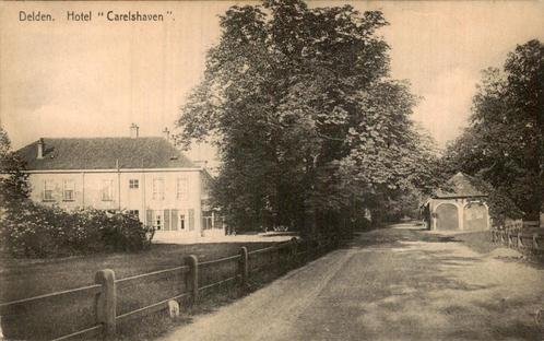 Hotel Carelshaven in Delden omgeven door bomen, Verzamelen, Ansichtkaarten | Nederland, Ongelopen, Overijssel, Voor 1920, Ophalen of Verzenden