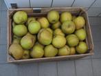Onbespoten Goudreinette appels, Schone van Boskoop, Ophalen