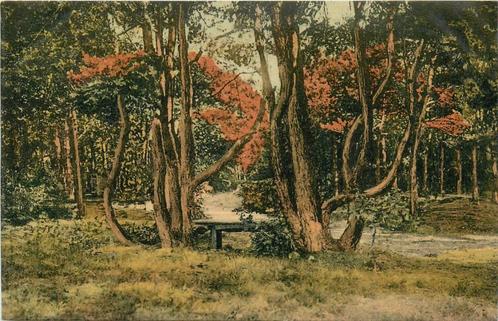(387-169-007) Ede Boschgezicht, Verzamelen, Ansichtkaarten | Nederland, Gelderland, Verzenden