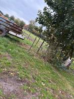 Stalling+ weidegang, Dieren en Toebehoren, Stalling en Weidegang, Weidegang