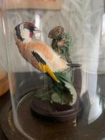 Putterbeeldje in stolp, Dieren en Toebehoren, Vogels | Overige Vogels, Mannelijk, Wildzangvogel