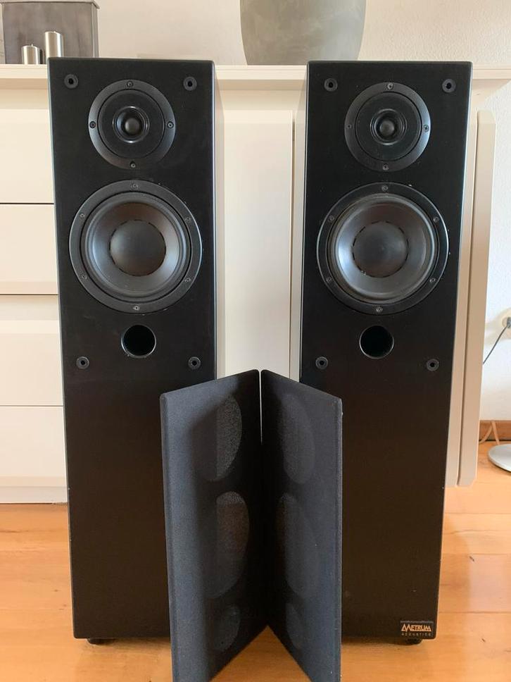 Mooie Metrum Acoustics Syncope speakers, Audio, Tv en Foto, Luidsprekers, Gebruikt, Front, Rear of Stereo speakers, 120 watt of meer
