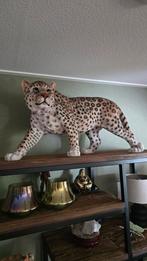 Grote Luipaard van Polystone - Blikvanger!, Antiek en Kunst, Kunst | Beelden en Houtsnijwerken, Ophalen of Verzenden