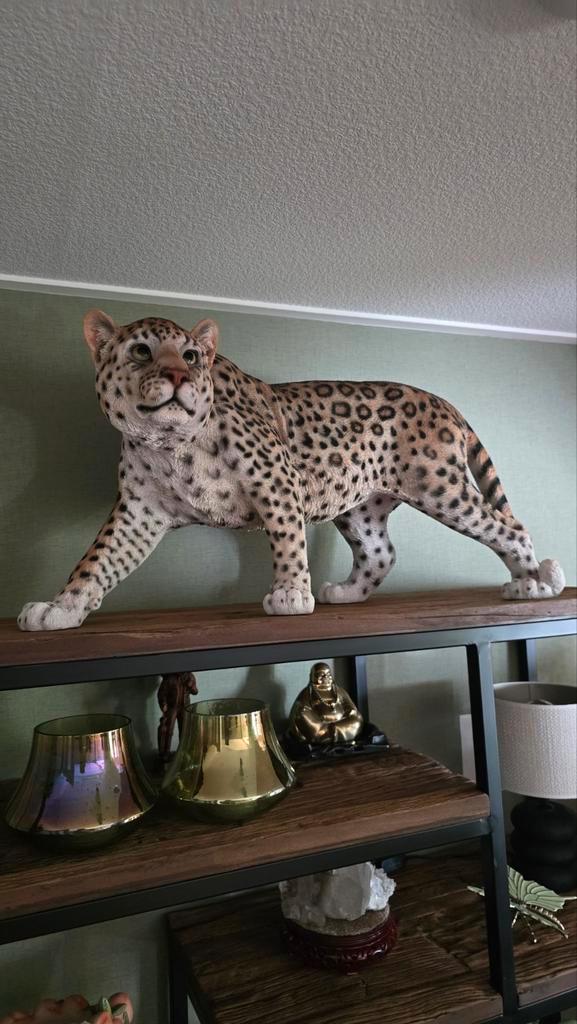 Grote Luipaard van Polystone - Blikvanger!, Antiek en Kunst, Kunst | Beelden en Houtsnijwerken, Ophalen of Verzenden