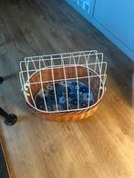 Fiets hondenmand, Ophalen, Zo goed als nieuw, Riet