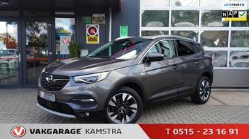 Opel Grandland X 1.2 Turbo Business Executive NAP/Navi/DAB+ beschikbaar voor biedingen