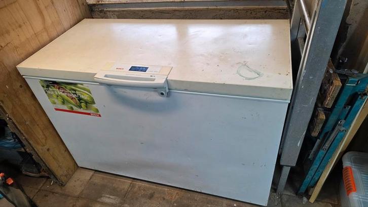 Grote Bosch Vrieskist - Ruim en Betrouwbaar!, Witgoed en Apparatuur, Vriezers en Diepvrieskisten, Gebruikt, Vrijstaand, Vrieskist