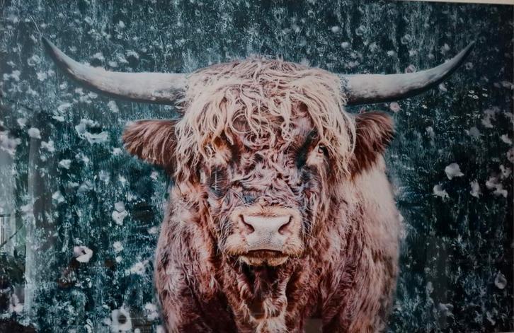 Art Deco Schilderij van een Schotse Hooglander, Huis en Inrichting, Woonaccessoires | Schilderijen, Tekeningen en Foto's, Zo goed als nieuw