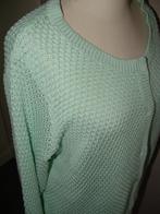 Mintgroen Hema vest maat XL sluit met drukknopen, Maat 46/48 (XL) of groter, Ophalen of Verzenden, Zo goed als nieuw, Hema
