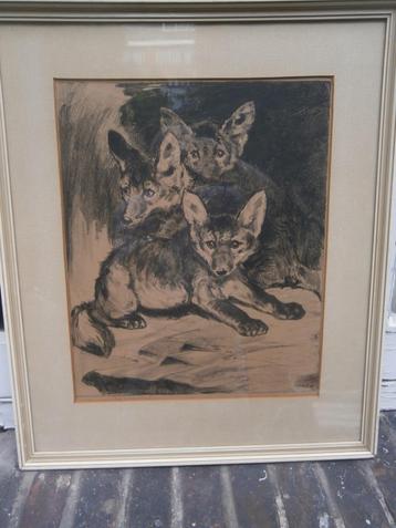 Ciorn. Jan MENSION, (SCHEEN) Tekening 3 Jonge Vosjes  beschikbaar voor biedingen