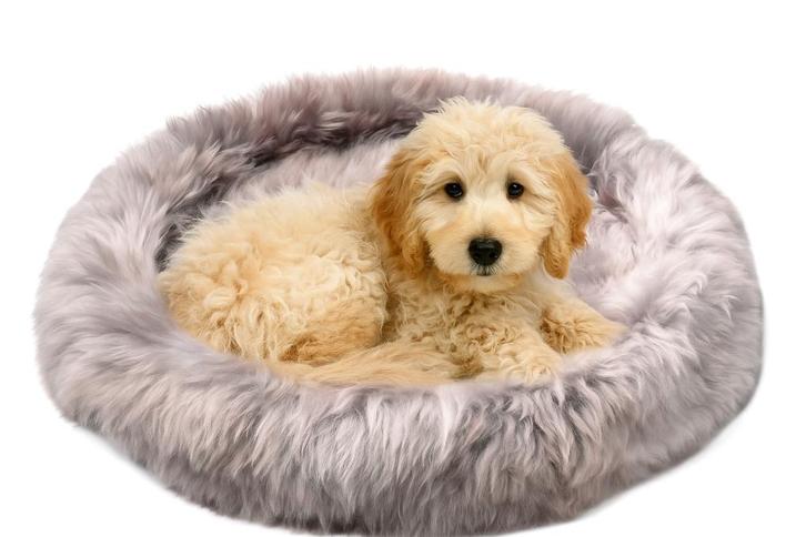 Donja-HD hondenmand-schapenvacht-uitneembaar vacht binnenbed, Dieren en Toebehoren, Hondenmanden, Nieuw, Overige, Ophalen of Verzenden