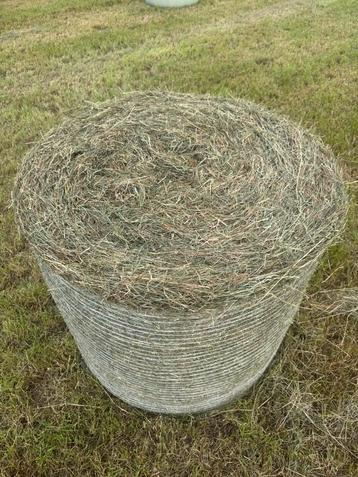 Midibalen hooi beschikbaar voor biedingen