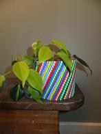 vrolijk geupcycled bloempotje, hip & handgemaakt rainbow Ø12, Ophalen, Rond, Nieuw, Minder dan 25 cm