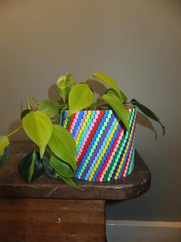 vrolijk geupcycled bloempotje, hip & handgemaakt rainbow Ø12 beschikbaar voor biedingen