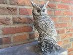Uil, Tuin en Terras, Tuinbeelden, Ophalen, Nieuw, Beton, Dierenbeeld