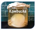 Kombucha & jun scobys, waterkefir & melkkefir, Diversen, Levensmiddelen, Ophalen of Verzenden