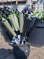 Solar fakkels nog in zwart €3,99 p.s., Tuin en Terras, Fakkels, Ophalen of Verzenden, Nieuw