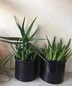 Vintage jaren’70 terracotta zwart geglazuurd bloempotten, Binnen, Ophalen of Verzenden, Zo goed als nieuw, Overige vormen