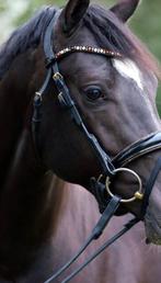 Hoofdstel full Golden Bling, Ophalen of Verzenden, Zo goed als nieuw, Overige soorten