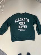 Groene Denver trui - H&M Divided, Kleding | Dames, H&M, Ophalen of Verzenden, Zo goed als nieuw, Maat 36 (S)