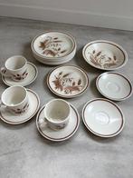 Vintage koffieservies met bruin arenmotief – 20-delig, Ophalen of Verzenden, Overige stijlen, Compleet servies, Glas