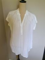 Velvet by graham&spencer dames blouse / wit/ nieuw! Maat XL, Kleding | Dames, Blouses en Tunieken, Verzenden, Nieuw, Maat 46/48 (XL) of groter