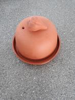 Knoflook Roaster, Ophalen of Verzenden, Zo goed als nieuw, Overige materialen, Pot, Bus of Blik