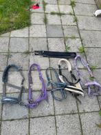 Halsters plus singel, Dieren en Toebehoren, Ophalen, Zo goed als nieuw, Overige soorten