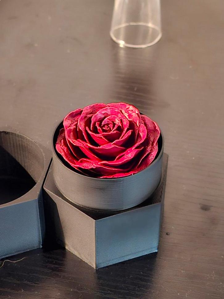 3D Geprinte Roos in Houder - Decoratief, Huis en Inrichting, Woonaccessoires | Overige, Nieuw, Ophalen of Verzenden