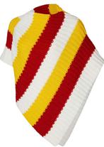 Carnavalskleding Oeteldonk poncho en 2 sjaals in de kleuren, Ophalen of Verzenden, Nieuw, Carnaval