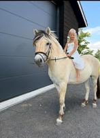 De leukste fjord ruin “Harry” !, Ruin