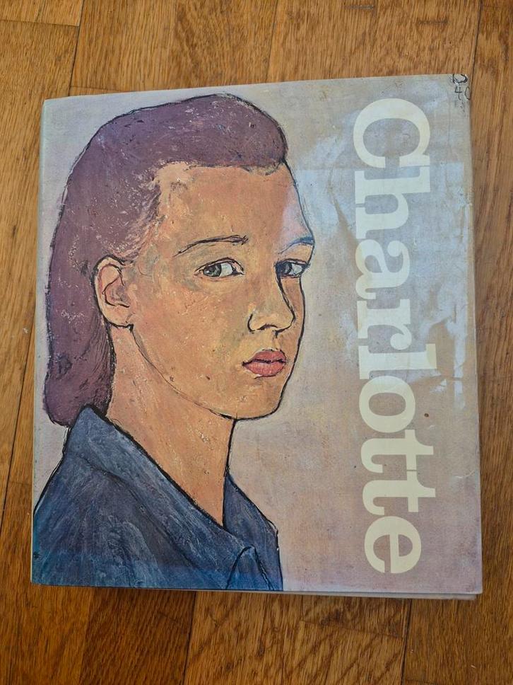 Charlotte Leven of theater? Dagboek van schilderijen, Boeken, Prentenboeken en Plaatjesalbums, Zo goed als nieuw, Ophalen of Verzenden