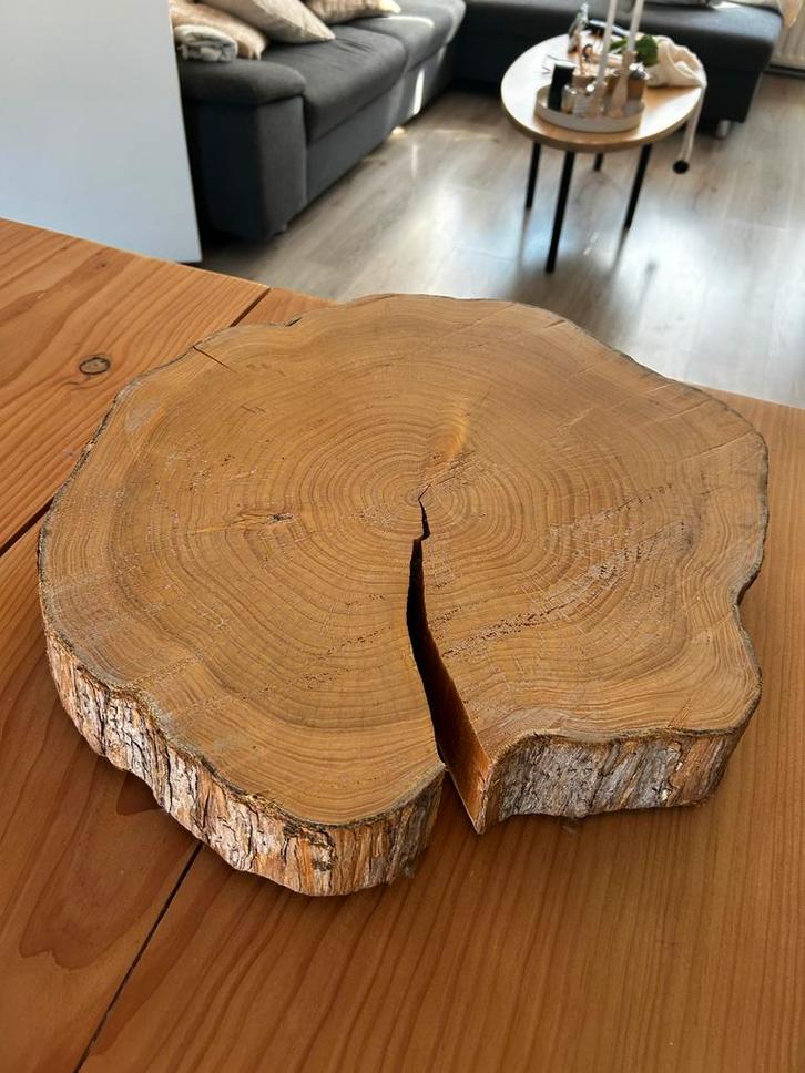 Boomstam Schijf - Decoratie, Huis en Inrichting, Woonaccessoires | Overige, Gebruikt, Ophalen