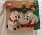 Lego 40571 Winter Time Polar Bears -NIEUW en ONGEOPEND-, Ophalen of Verzenden, Nieuw, Complete set, Lego