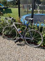 Ridley Pegasus, Fietsen en Brommers, Fietsen | Heren | Sportfietsen en Toerfietsen, 28 inch, Gebruikt, 57 tot 61 cm, Meer dan 20 versnellingen