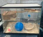 Hamsterkooi knaagdierkooi gebrilarium, Dieren en Toebehoren, Kooi, 110 cm of meer, Hamster, Ophalen of Verzenden