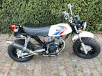 Honda CY50 eenzit zadel R&p, Ophalen of Verzenden