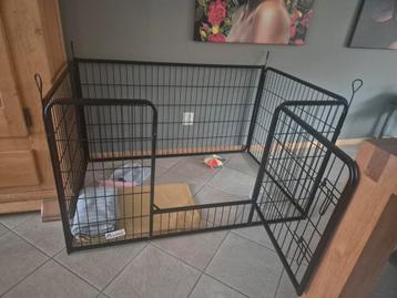 Honden puppy ren beschikbaar voor biedingen