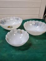 schalen arcopal france fruit drie stuks, Ophalen of Verzenden, 'T Olde Gre-j, Info@toldegrej.nl, Endepoelstraat 20f Didam