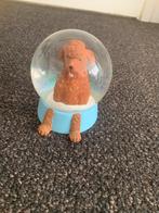 Sneeuwbol Hond - Woonaccessoire, Ophalen, Zo goed als nieuw