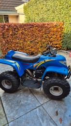 Blauwe Skygo Quad 150cc automaat, 1 cilinder, 150 cc, 11 kW of minder