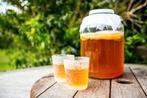 Kombucha Starter Vloeistof met Scoby, Diversen, Ophalen of Verzenden