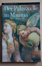 Palazzo Te in Mantua, Ophalen of Verzenden, Zo goed als nieuw, Schilder- en Tekenkunst, Palazzo Te Mantua