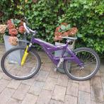 Raleigh MTB 26 inch, Minder dan 45 cm, Ophalen, Gebruikt, Overige merken