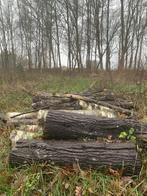 Haardhout, Tuin en Terras, Minder dan 3 m³, Ophalen, Overige houtsoorten, Stammen