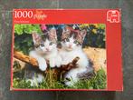 Puzzel 1000 stukjes, Ophalen of Verzenden, 500 t/m 1500 stukjes, Legpuzzel